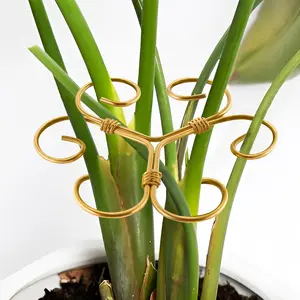5 count Iron Monstera  Support,  Stem Support, Turtle Shell  Clamp Set,   Support Stakes for Indoor , Ideal Present for  Lovers (5 Pcs-4.1INX4.1IN)