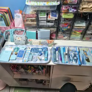 Book Bundles Deluxe - Organized Stationery Set with Pens, Clips, and Accessories for Writing and Office Use