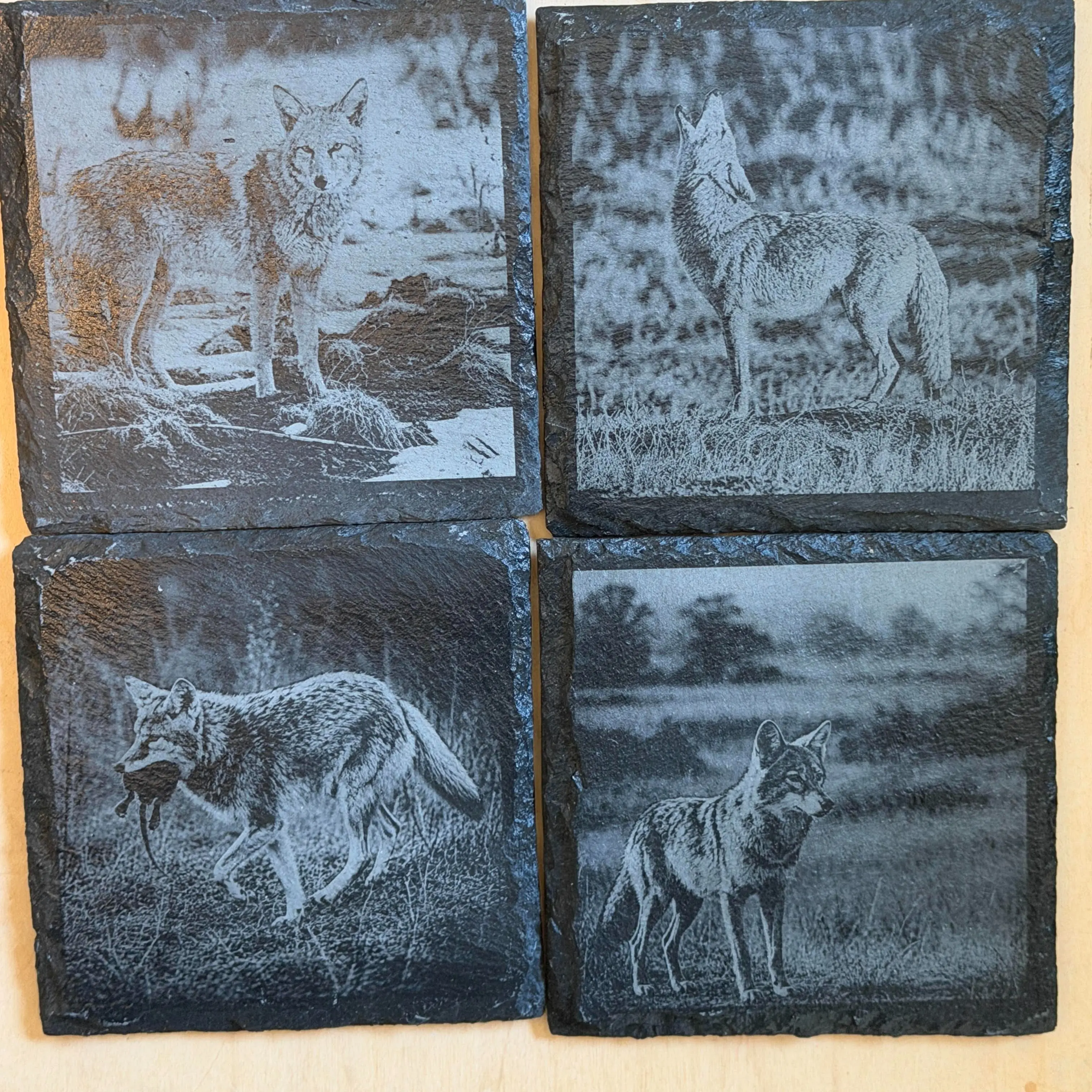 Set of 4 Laser Engraved Slate Coyote Coasters – Montana Wildlife Collection