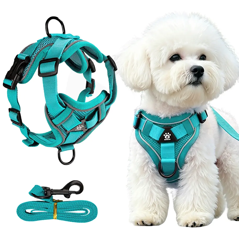 HELETY Breathable No Pull Dog Harness Set – Soft Mesh Vest Harness with Matching 1.5m Leash for Small Medium Dogs, Safe Easy Control proof escape