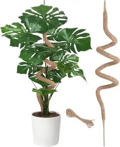 Moss Pole 63 Inch Moss pole Monstera  Support Bendable Moss Pole for Climbing  Indoor Coir  Pole Sticks, Brown