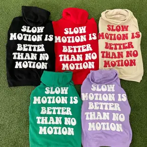 AllAboutTheBuck$ Slow Motion Hoodie