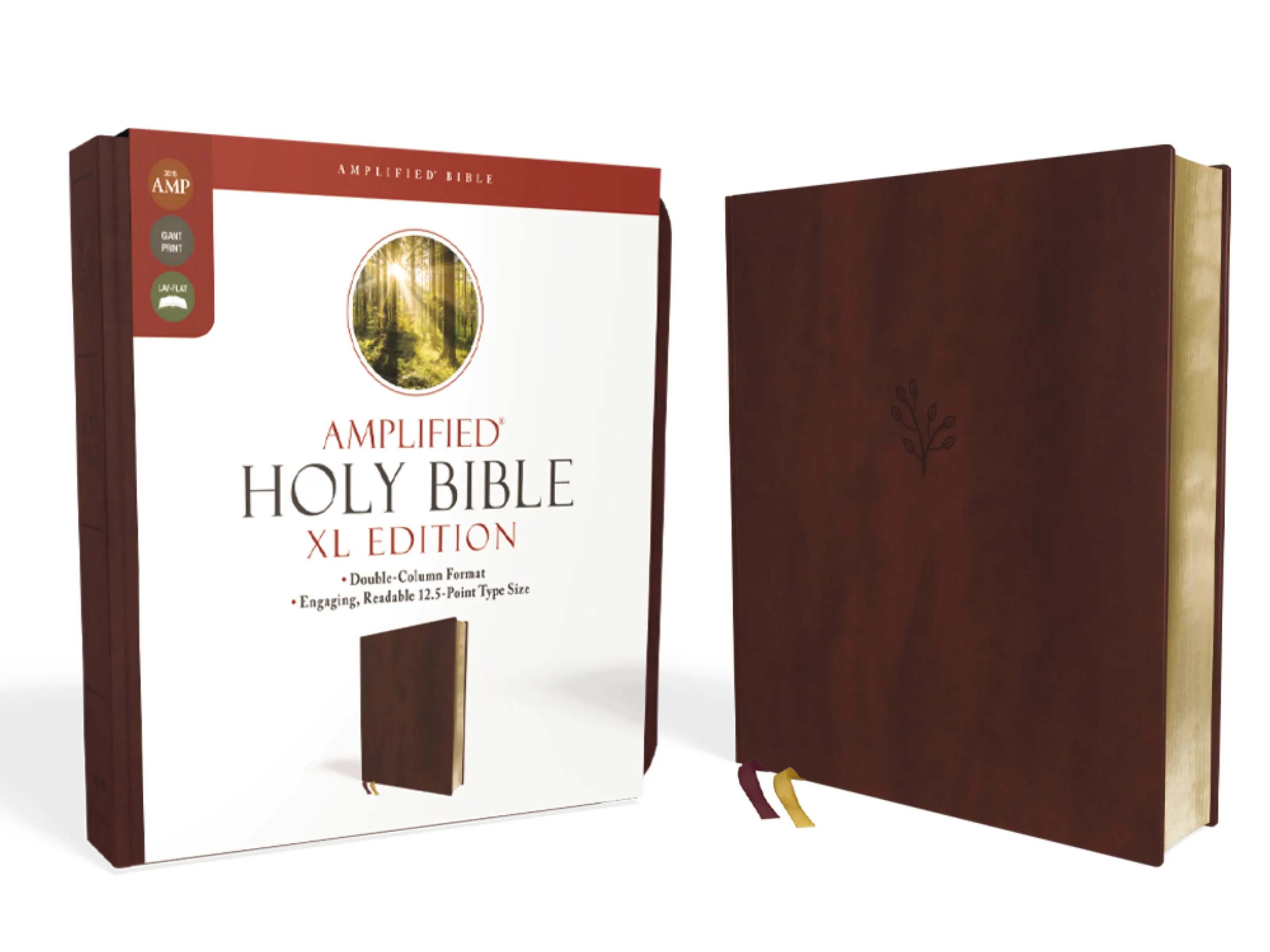 Amplified Holy Bible, XL Edition, Leathersoft, Burgundy by Zondervan [Leatherbound Book]