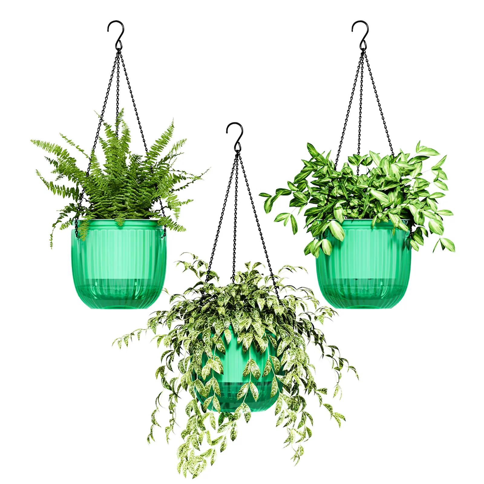 Bamworld 3-Piece 6.5-Inch Transparent Double Self-Watering Hanging Flower Baskets, Garden Pots with Drainage Holes, Metal Chains, Hooks, Water Monitor for Beginners’ Indoors, Outdoors Spider Plants