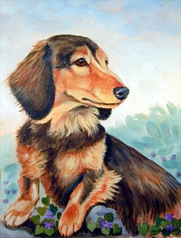212 MAIN Rectangular Polyester Garden Flag - Long-Haired Chocolate & Tan Dachshund Design, Double-Sided, Weatherproof, Fade-Resistant, 11x15 in, 0.19 lbs for Outdoor Decor