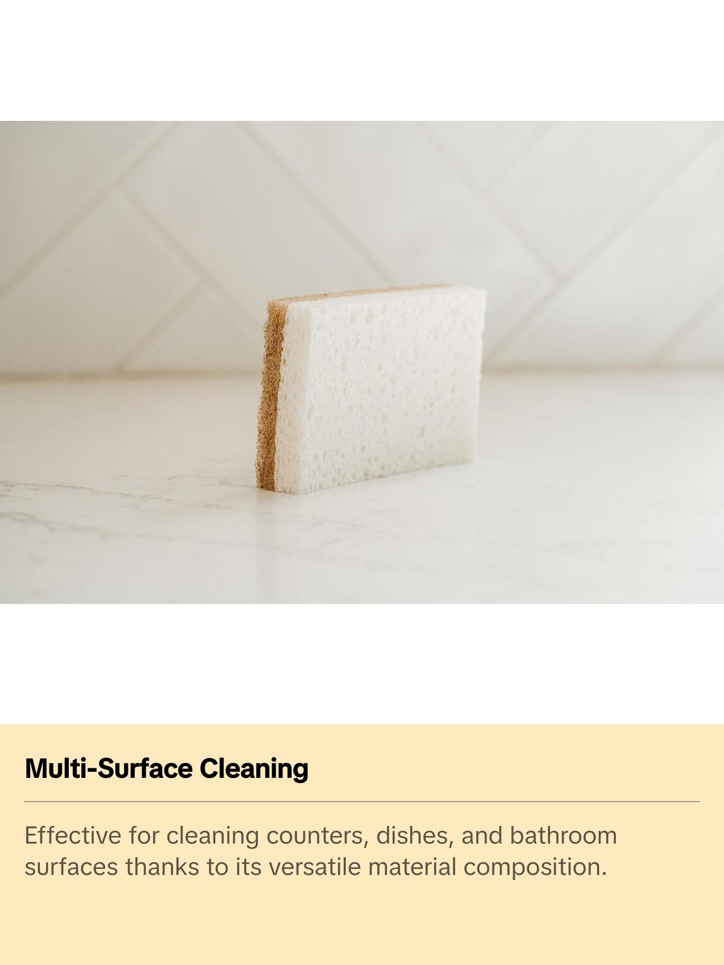 Biodegradable Sponges