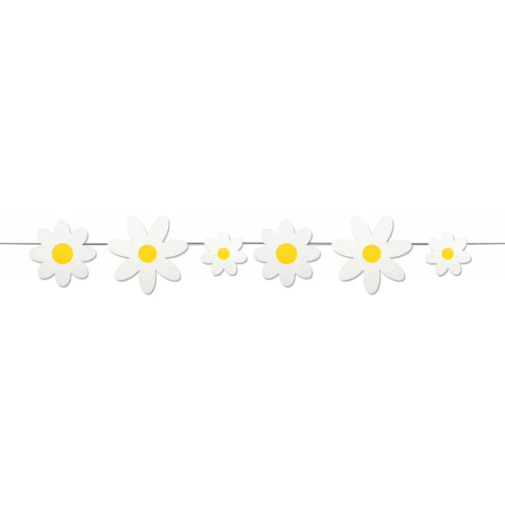 Daisies Set