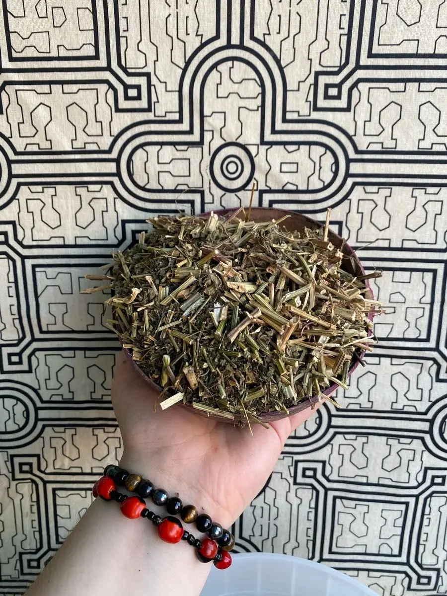 Insulina - Hebal Tea - 2 oz
