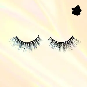 Eva Light Cateye Magnetic Wispy Lash Strip Compact Case magnetic eyelashes Natural Fluffy