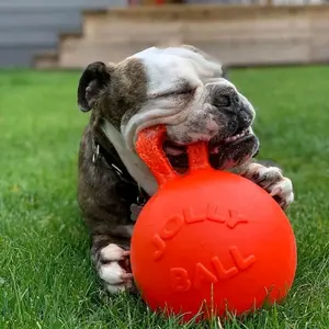 Jolly Pets Tug-n-Toss – Durable Bouncy Ball with Handle for Dogs | Floating Fetch Toy for Land & Water Play