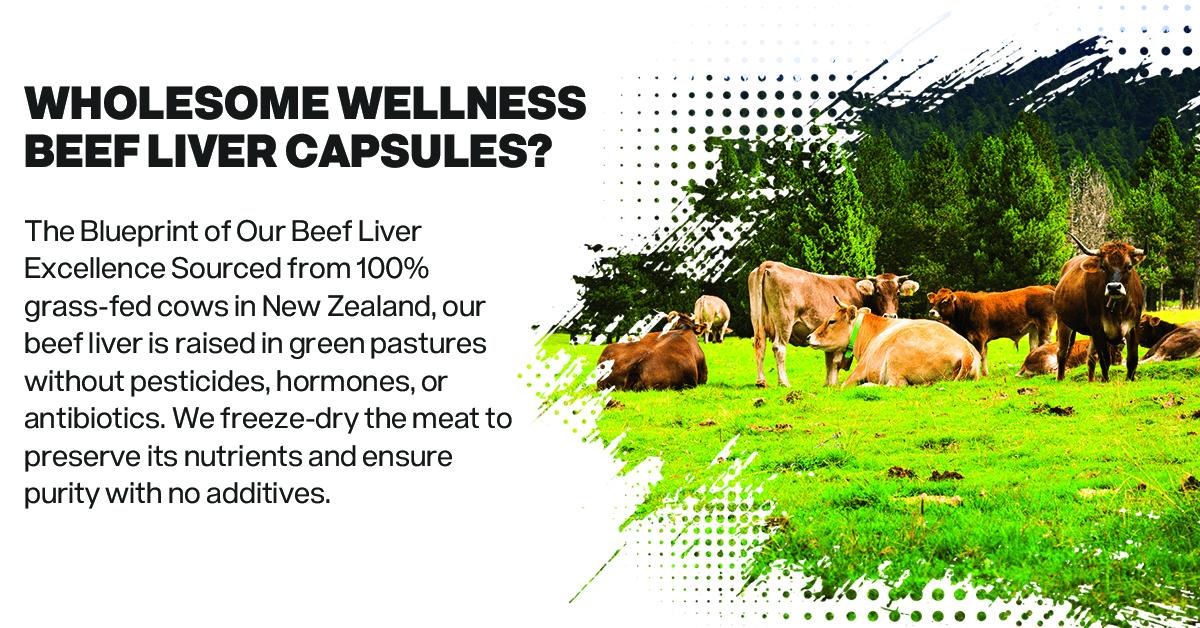 Grass Fed Desiccated Beef Liver Capsules (180 Pills, 750mg Each) - Natural Iron, Vitamin A, B12 for Energy - Humanely Pasture Raised Undefatted in New Zealand Without Hormones or Chemicals Healthcare Dietary Supplement Edible
