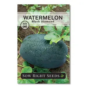 Black Diamond Watermelon Seeds