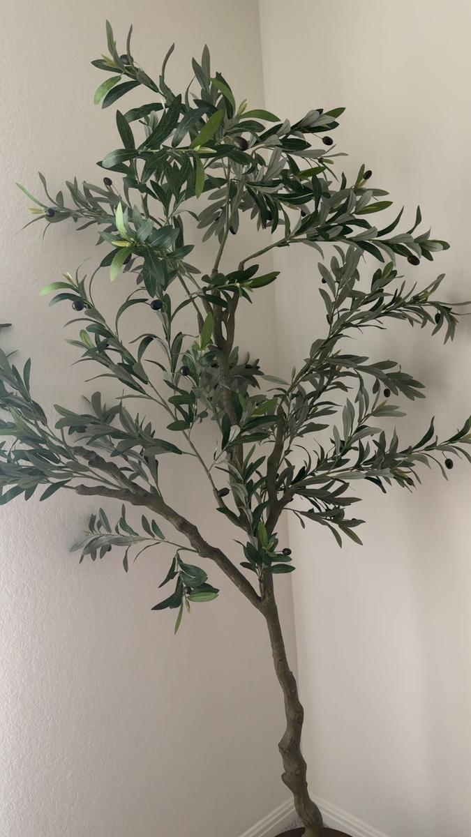 Item: 7FT 968 Leaves 46 Fruits