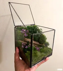 No maintenance cube terrarium.
