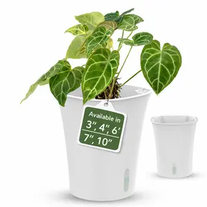 Self Watering Planter with Water Level Indicator | karenplantsplants Self Watering Planter with Water Level Indicator | karenplantsplants