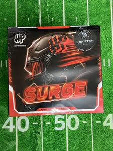 PYT NFL Hit Parade 1 Helmet break #2