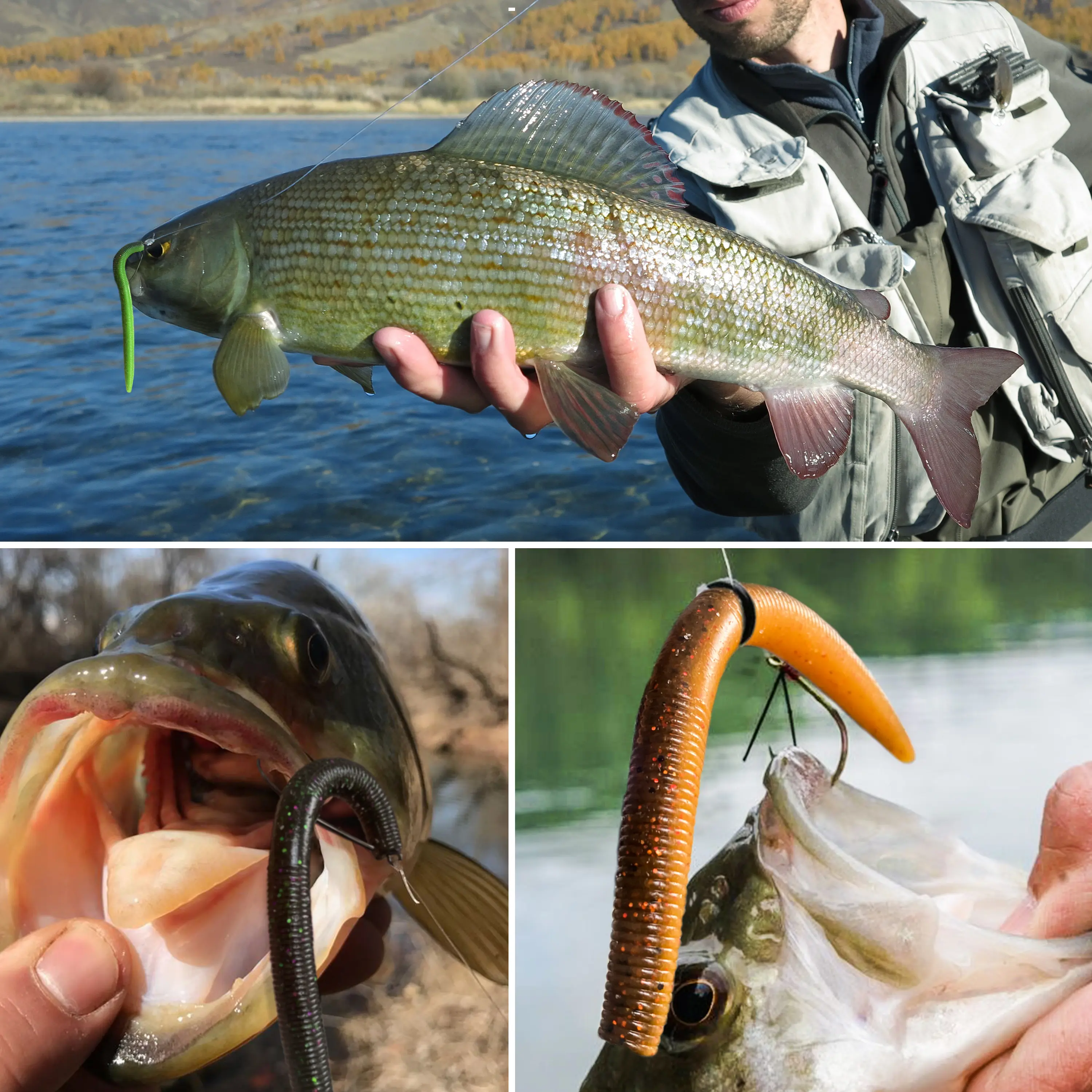 amateur fishing pole Best Baitcasting Fishing Rod and Reel Combo - High Performance Angling