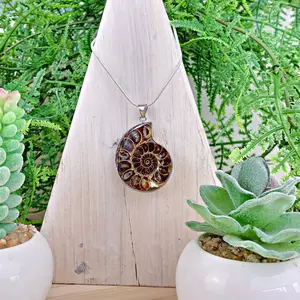 Ammonite Silver Plated Pendant