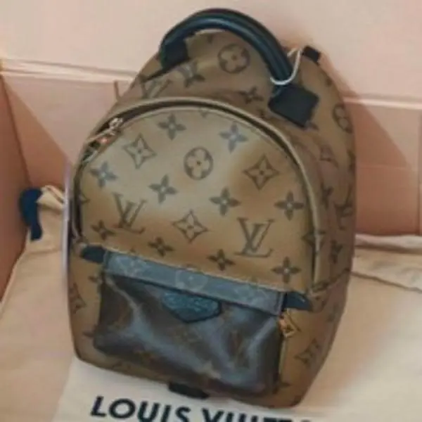 Pre-owned Louis Vuitton Reverse Monogram Palm Springs Backpack Mini 001624