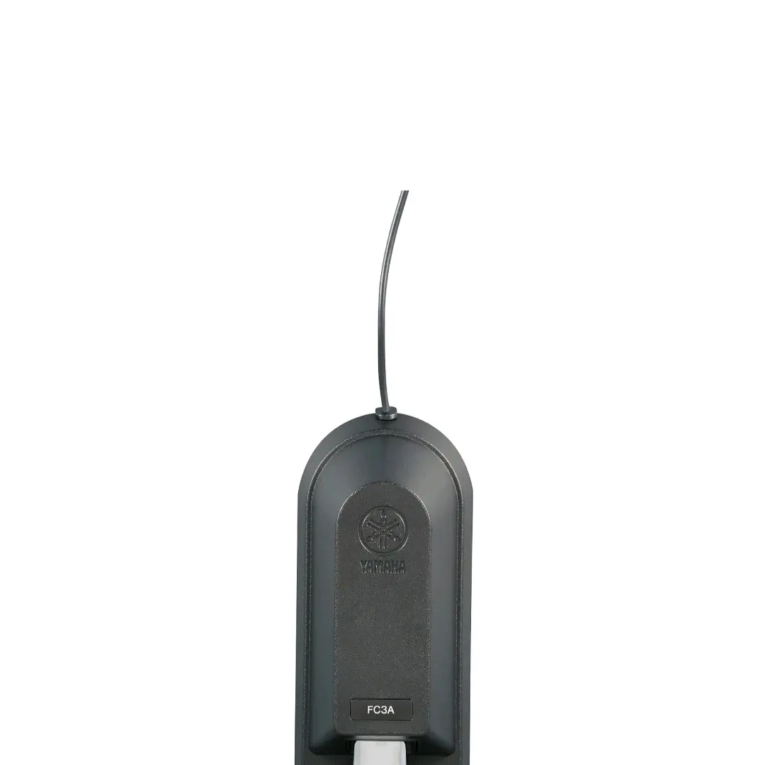 pedal for piano electric guitar