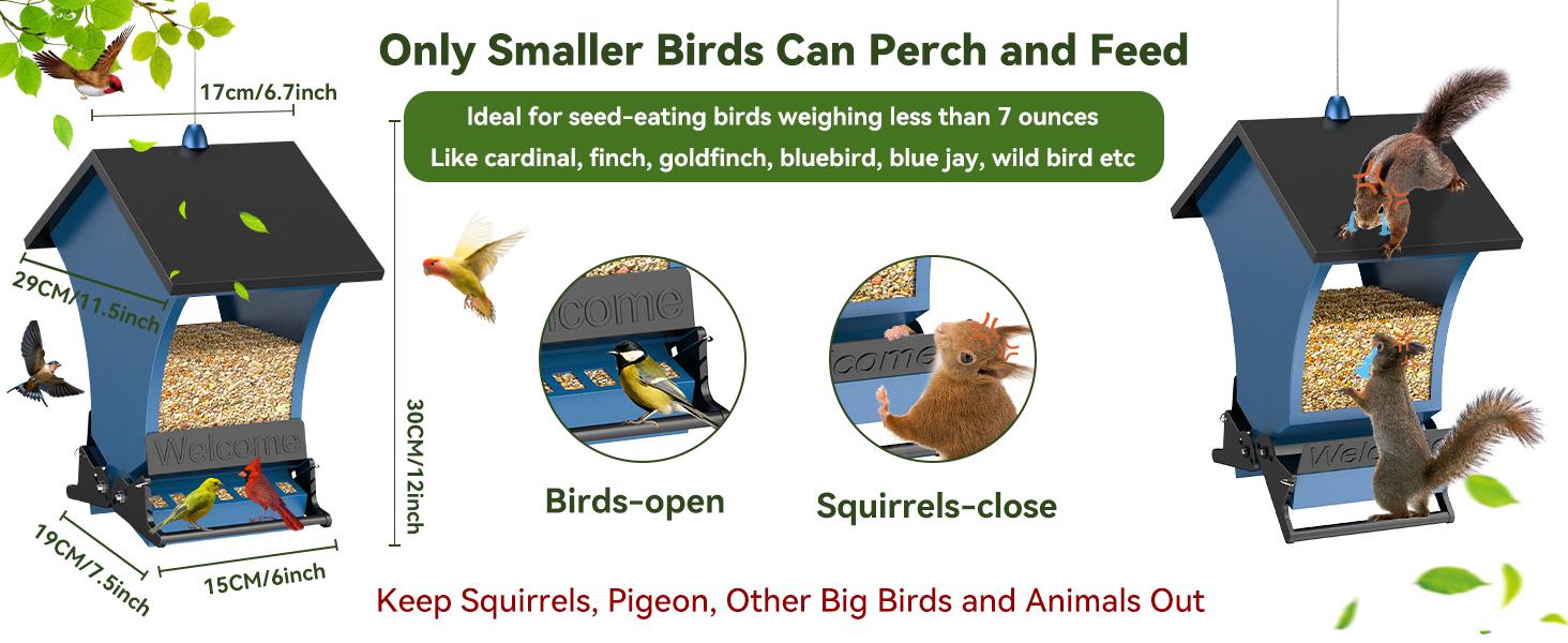 Wildpark 2 PACK Squirrel-Proof Bird Feeders – Durable, Vibrant Orange, Perfect for Cardinals & Chickadees – Ideal Gift for Bird Lovers, Moms & Grandmas