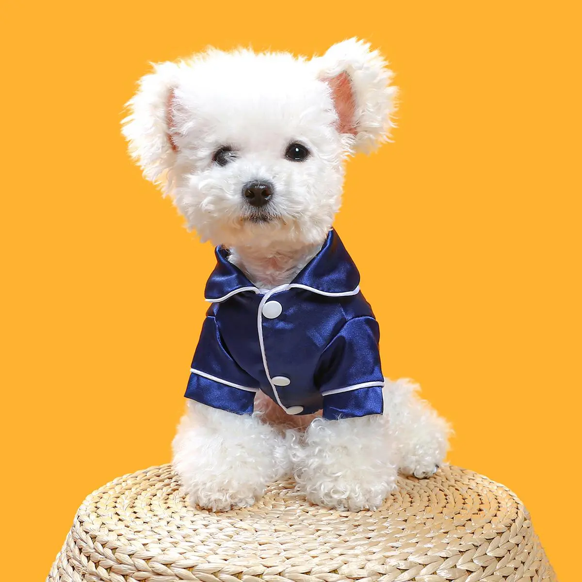 TikTok trending! Christmas-themed pet French pajamas. Comfortable and not restrictive. Kittens and small dogs can look stylish without making any mistakes 💫