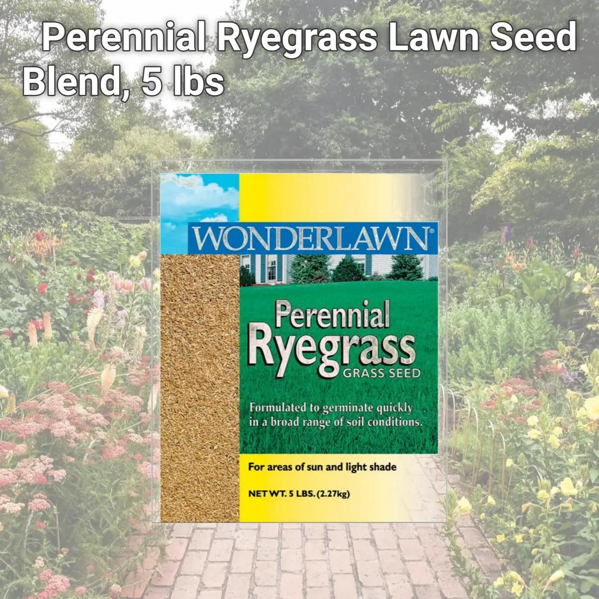 212 MAIN Barenbrug 71570 5lb Perennial Ryegrass Turf Grass Seeds Blend, Home Improvement Garden Supply, Quick Growth, Sun-Shade Tolerant, Traffic-Resistant