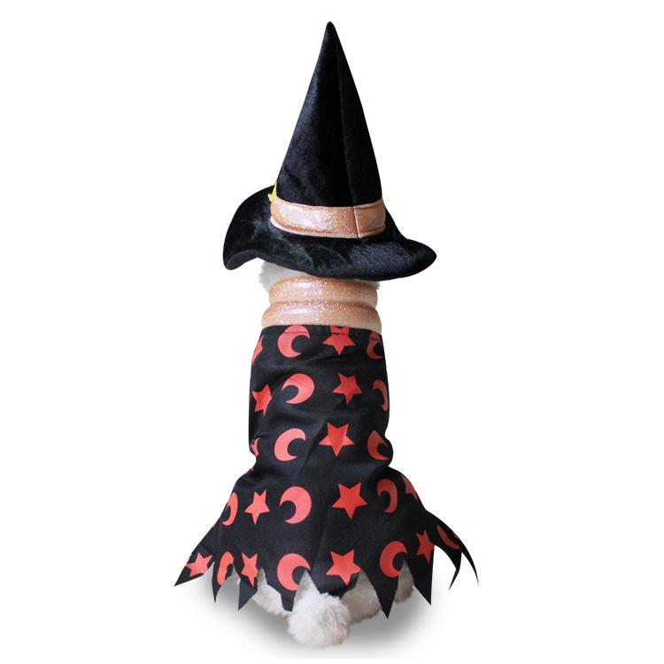 Dog Halloween costume with funny costumes Dog Halloween costume with funny costumes