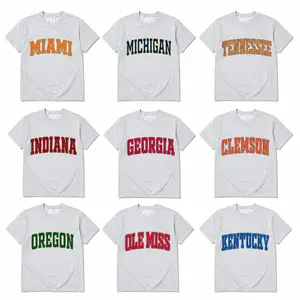 Vintage College Crewneck T-Shirt – Ash Grey, Custom University Team, Game Day Shirt, Retro Varsity Style, Unisex Heavy Blend, Menswear & Womenswear