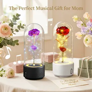 2-in-1 Mother's Day Classic Gifts LED Everlasting Rose Eternal Flower,Romantic Creative Gifts for Women - Valentine's,Day, Birthday, Memorable Dates luxury valentines Gifts for Her outdoorfun