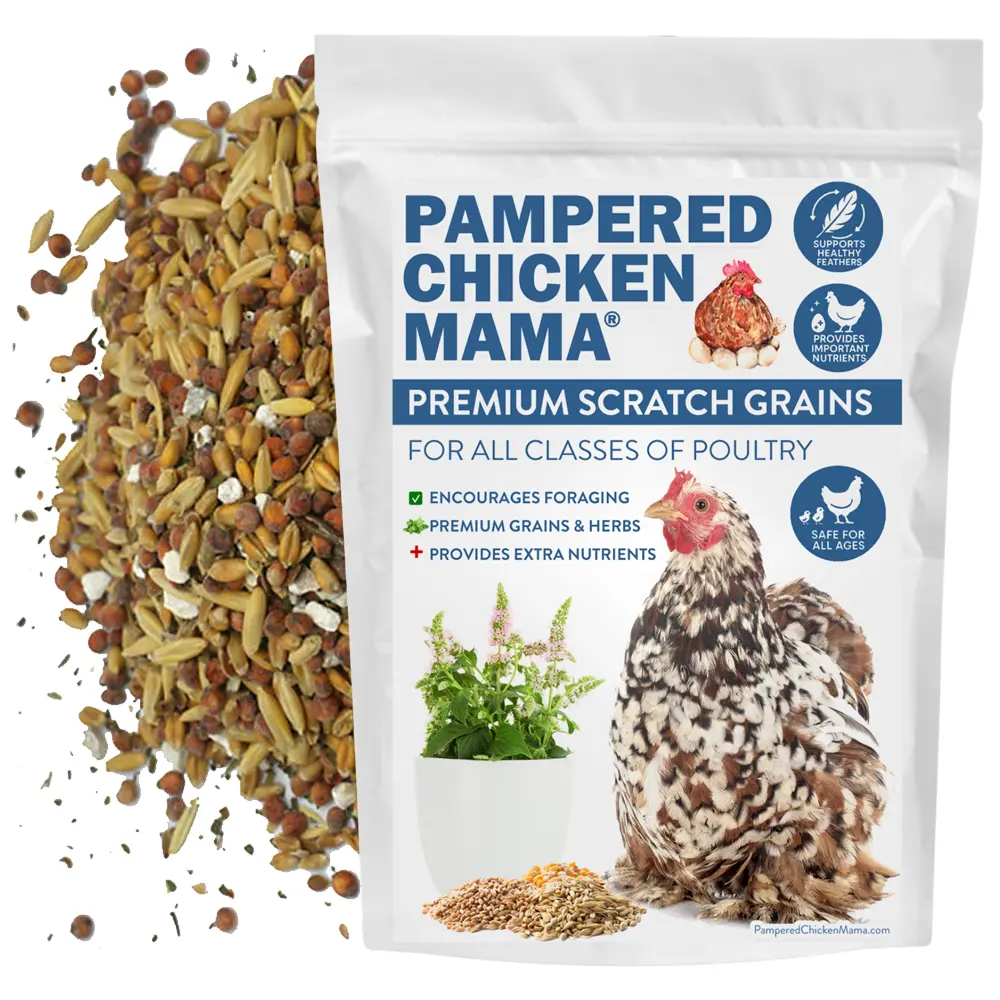 Premium Chicken Scratch With Herbs To Encourage Positive Behaviors