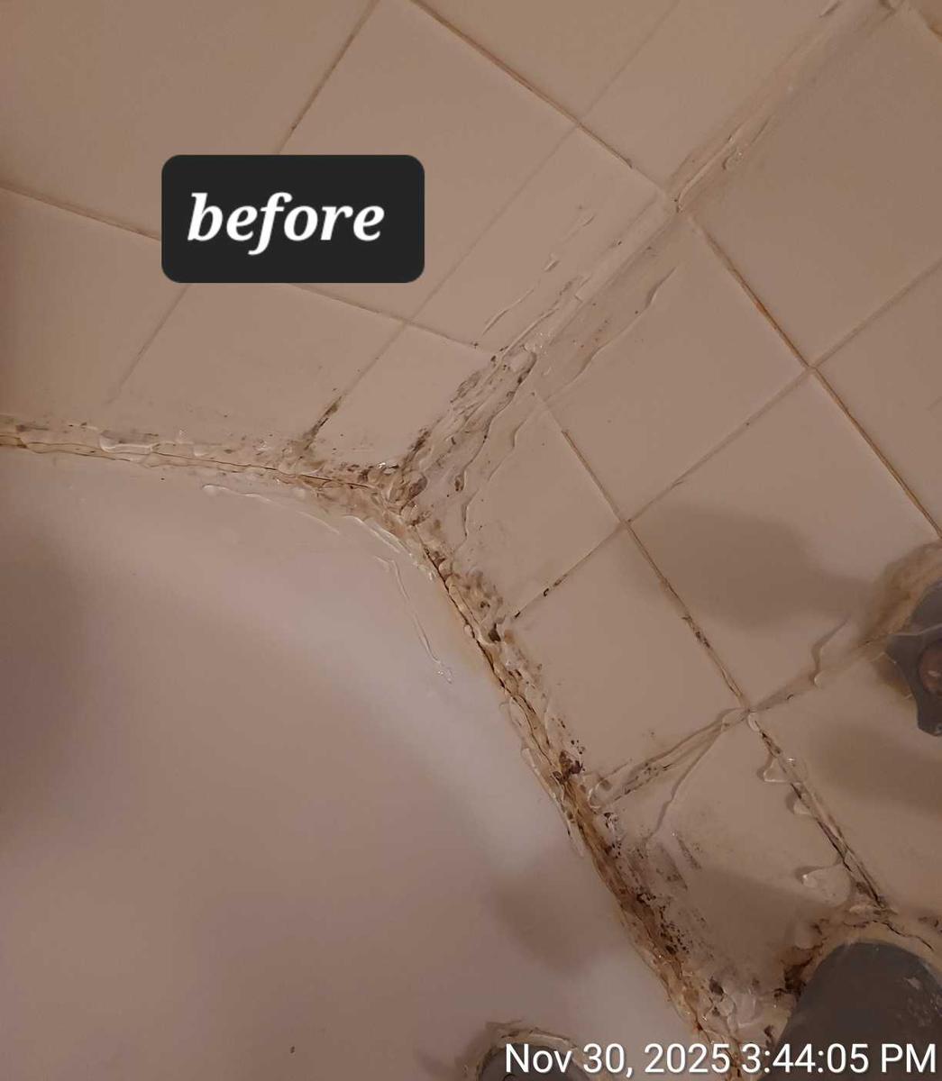 Item: Mold Remover Gel 210g with Scrub Brush