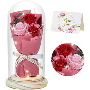 Preserved Flowers Bouquet with Red and Pink Roses in Glass Dome, Perfect for Valentines Day, Anniversary, Birthday, Mothers Day or Christmas