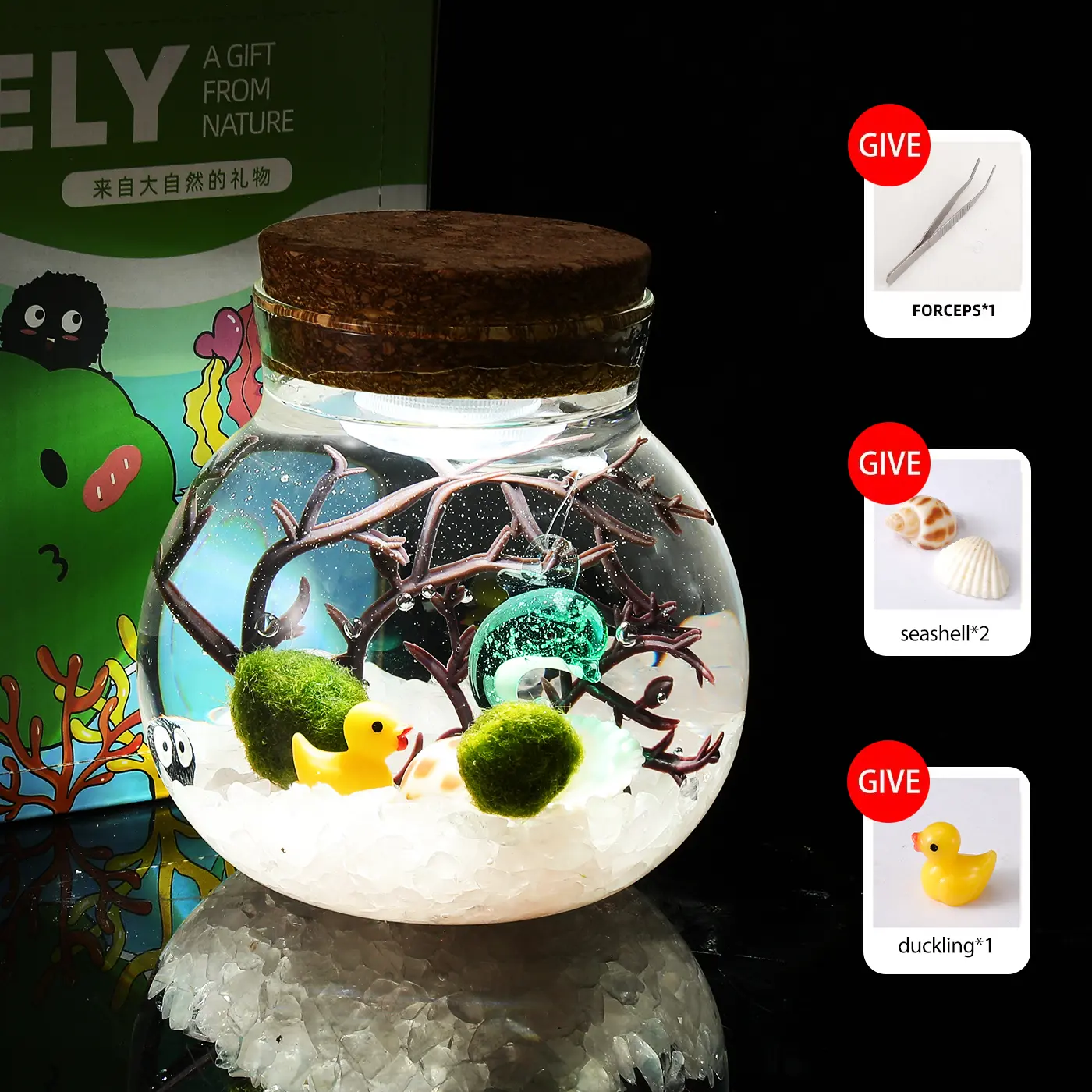 Merak - Healing Big Dipper Bottle Terrarium, Adorable Marimo Micro-Landscape, Self-Sustaining Crystal Water Garden & Low-Maintenance Pet Plant Decor (Includes 2 Live Marimo Pets)