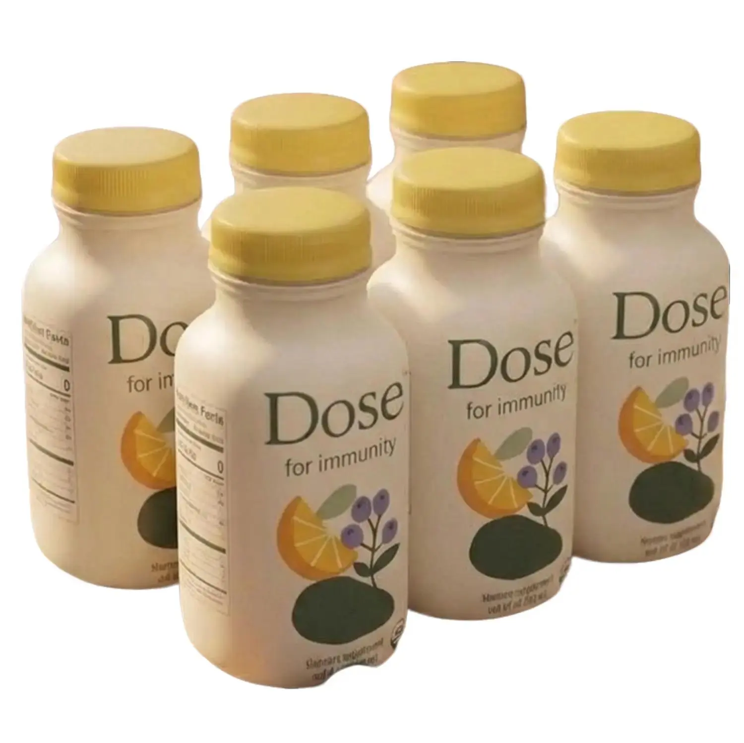 6 Packs Dose Immunity Shot with Vitamin C Zinc Elderberry and Ginger Citrus Berry Wellness Drink, 2 oz