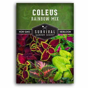 Rainbow Mix Coleus Seed - Shade Tolerant Coleus