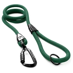 Explorer Leash Explorer Leash