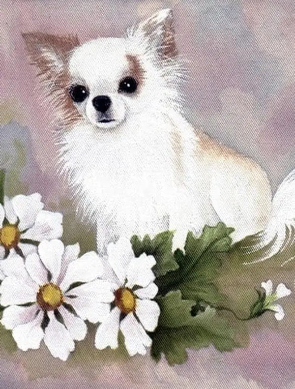 Chihuahua White Flowers Flag Garden Size