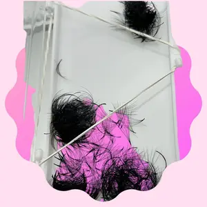 8D 0.07 Promade Fans (Box Of 500) Lash Extensions
