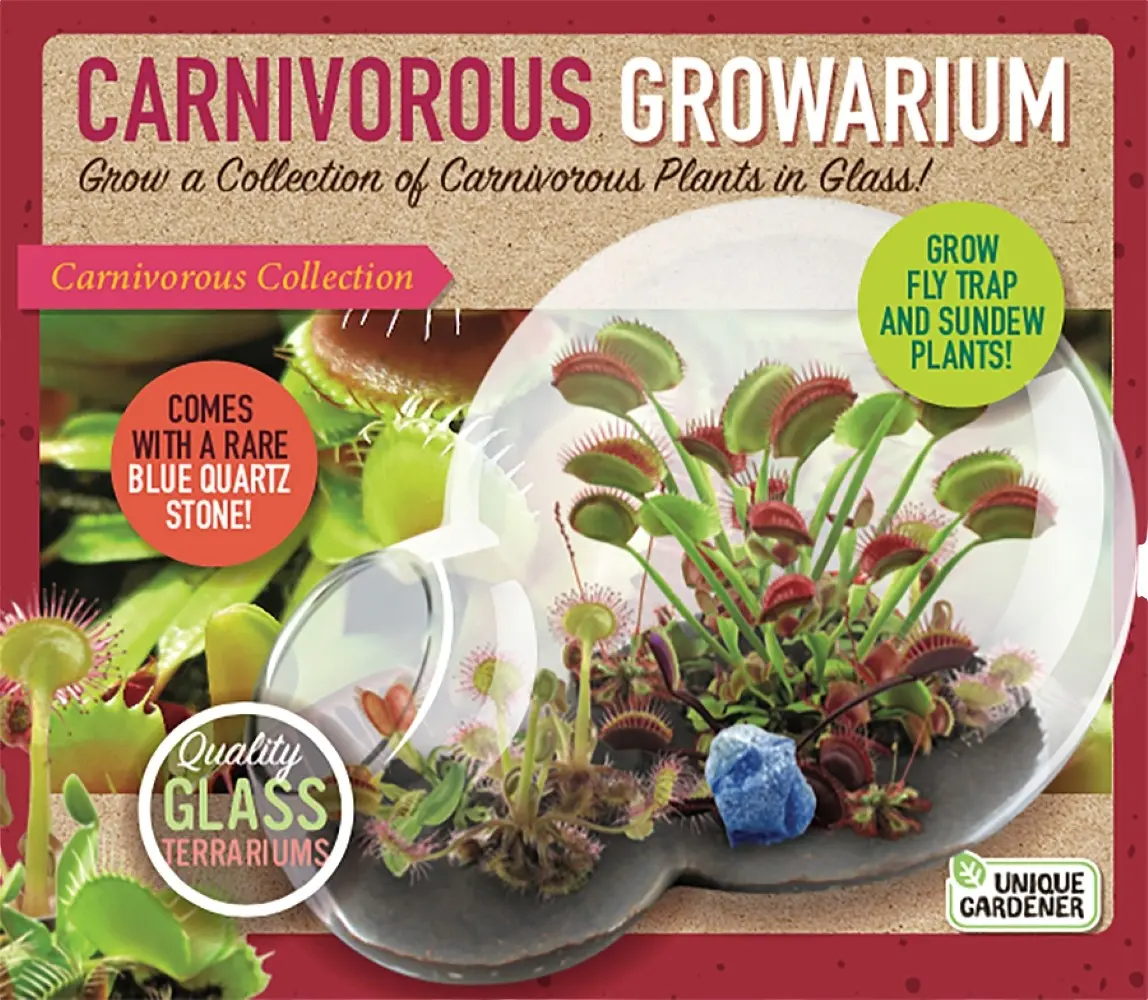 Carnivorous Growarium Meat-Eating Seed Terrarium Kit