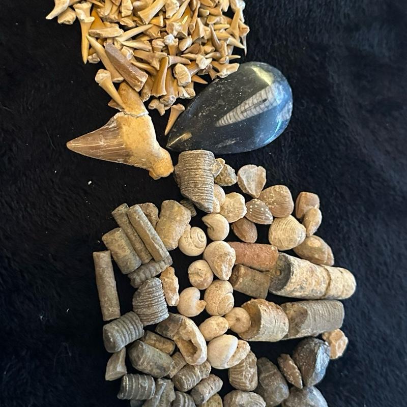 Everything Gallon Mining Bucket