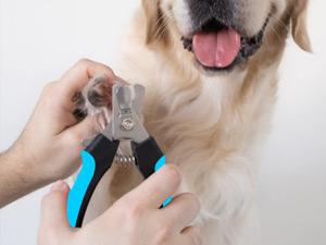 Candure Dog Nail Clippers and Trimmer with Safety Guard to Avoid Over-Cutting Toe Nails Professional Grooming Pet Nail Clipper with Nail File for Small Medium-Large Breeds