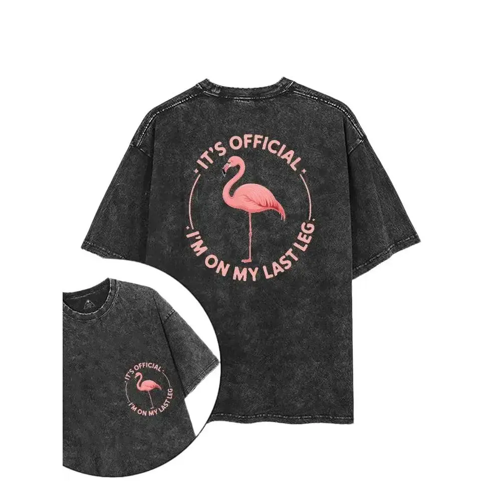 Women's Short-Sleeve Retro Flamingo Quote Washed T-Shirt - Vintage Funny Bird Graphic Top, Loose-Fit Oversized Streetwear, Heavyweight Acid Wash Casual Plain Tee for Gym Fitness