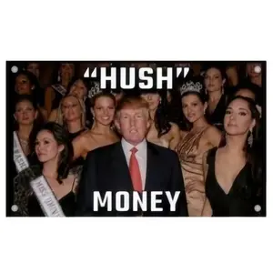 Donald Trump Money 3x5Ft Flag Tapestry with 4 Brass Grommets for Wall Hanging BedRoom Man Cave College Dorm Room Decor Outdoor Banner