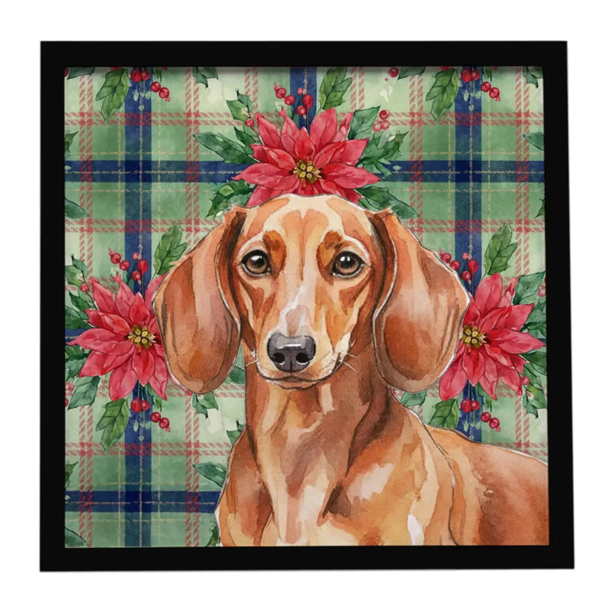Carolines Treasures WDK8600MFP88 8x8 in. Artistic Red Brown Dachshund & Christmas Poinsettias Aluminium Framed Metal Print, Wall Decoration with Hanger, Ideal Home Decor Gift