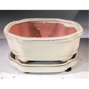 212 MAIN Beige Rectangular Ceramic Bonsai Pot with Drainage Holes, 6x5x2.5 in, and Humidity Drip Tray