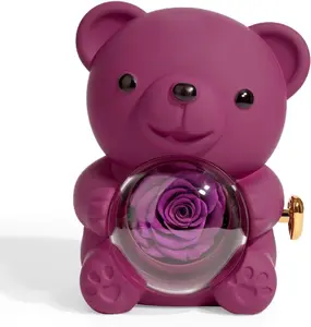 Mother’s Day Gift – Real Rose Bear with give Necklace, Romantic Keepsake for Mom, Wife, Girlfriend, Birthday