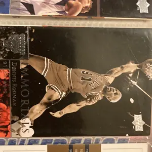 Dennis Rodman Immortals Baseball Card