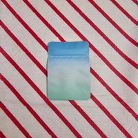 29. XJ061008 100pcs 2.76in×3.94in