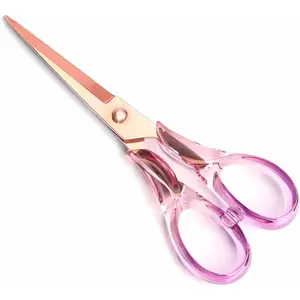 Purple Transparent Acrylic Scissors, 6.3" Craft Shears with Gold Sharp Stainless Steel Blades for Home Office & School, Cute Stationery Tools for Scrapbooking & Gift Wrapping